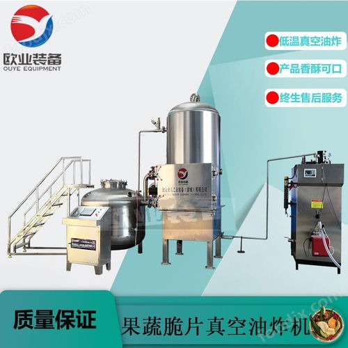 秋葵脆油炸設備 脆棗真空油炸機 全自動低溫真空油炸機