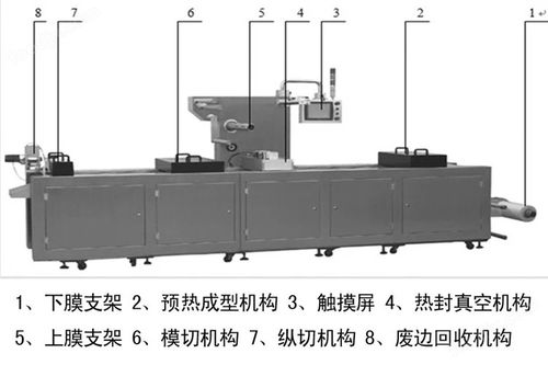 全自動糕點真空包裝機 全自動食品包裝機