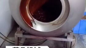 菲凡全自動真空滾揉機生產廠家