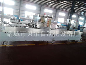 食品真空包裝機(jī) 豆筋真空包裝機(jī) 辣條真空包裝機(jī)